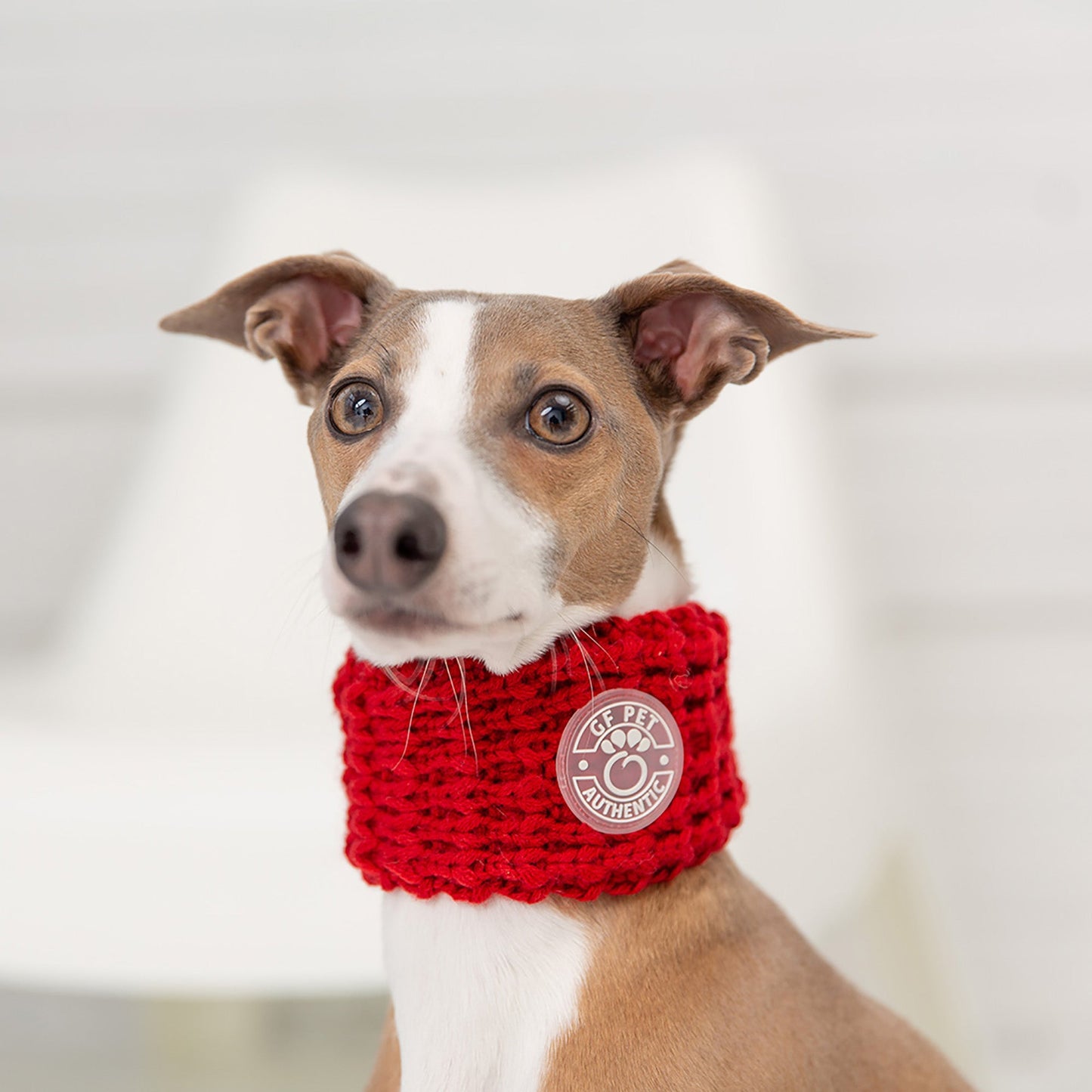 Chalet Tube Scarf - Red by GF Pet