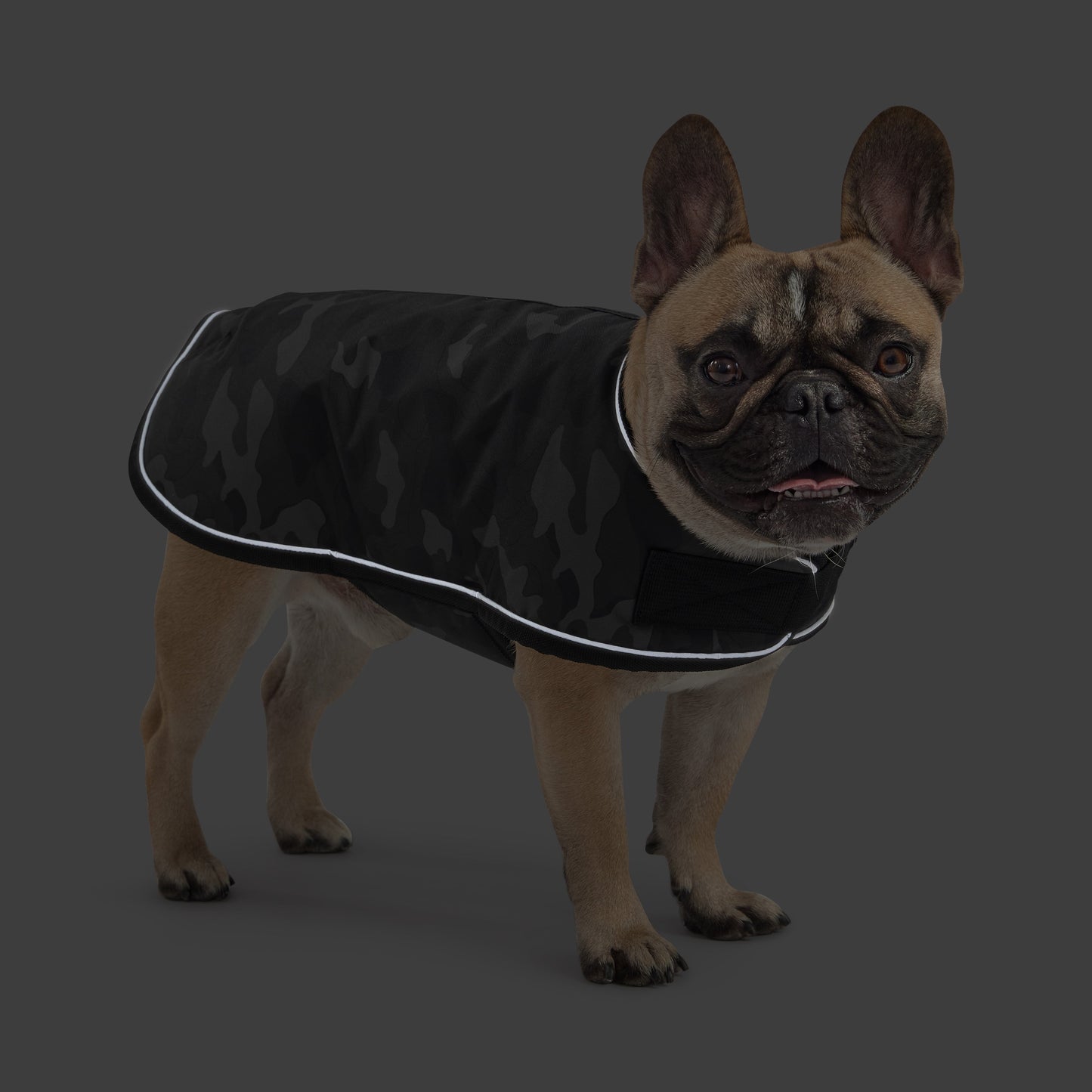Blanket Jacket - Camo by GF Pet