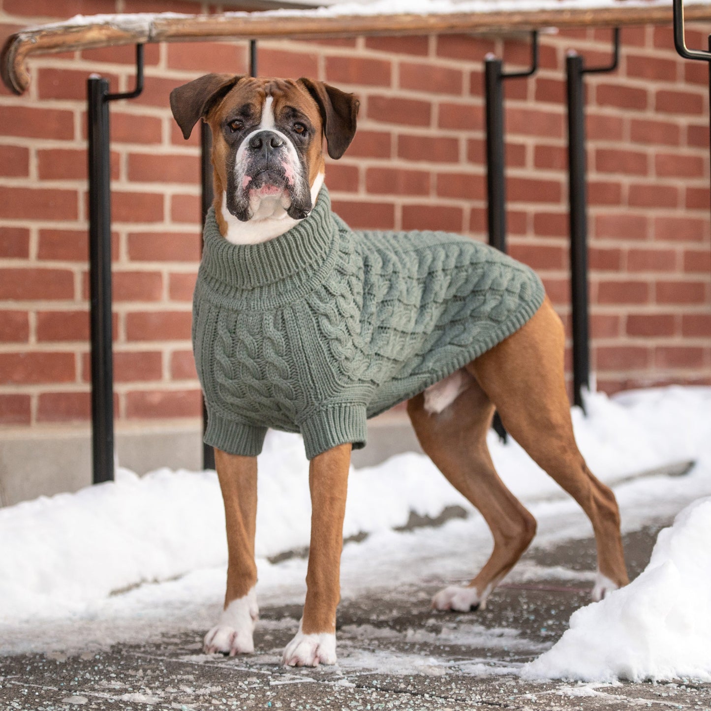 Chalet Sweater - Sage by GF Pet