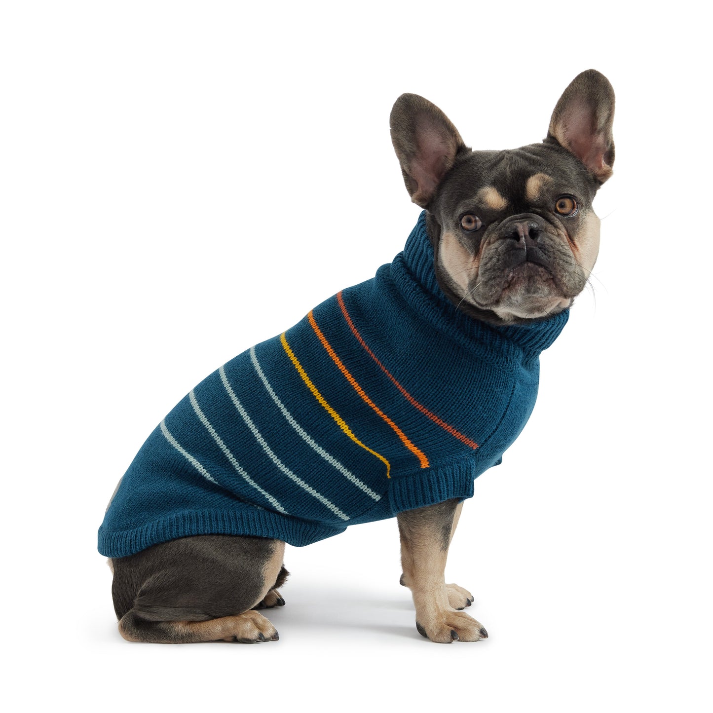 Arctic Sweater - Teal by GF Pet