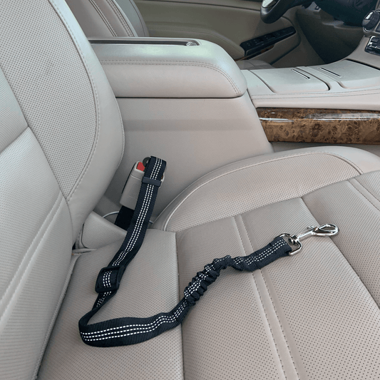 Car Elastic Safety Leash by Threaded Pear