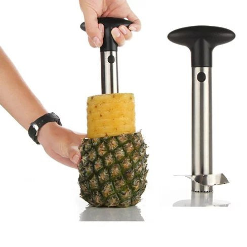 Pretty Prickly Pineapple Peeler The 4P Tool by VistaShops
