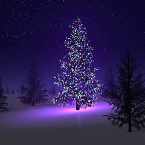 Colorful Firefly - Solar mini LED Christmas lights on Strings by VistaShops