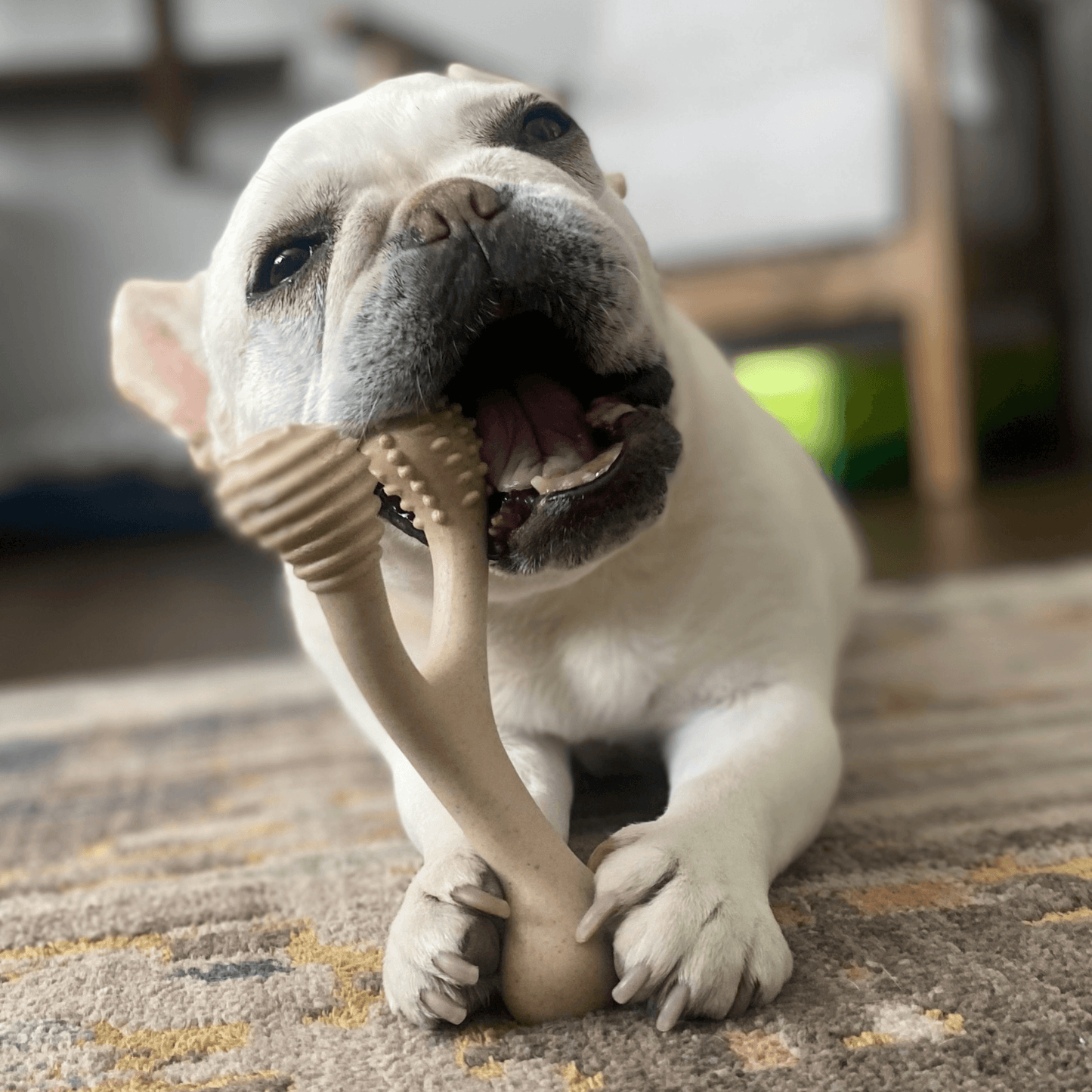 BetterBone TOUGH | Durable All-Natural, Food-Grade, Eco-Friendly, Dental Cleaning Chew for Aggressive Chewer Dogs & Puppies by The Better Bone Natural Dog Bone - The Hammer Sports