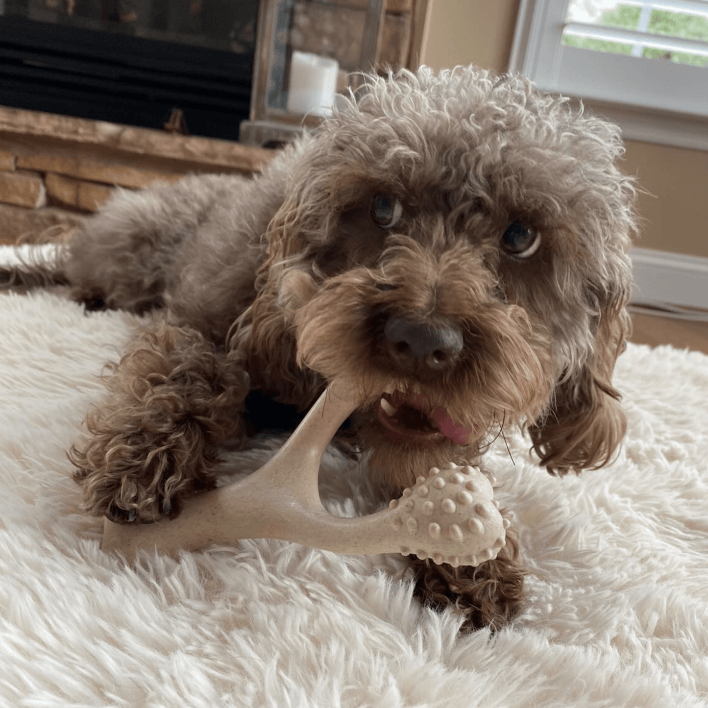 BetterBone TOUGH | Durable All-Natural, Food-Grade, Eco-Friendly, Dental Cleaning Chew for Aggressive Chewer Dogs & Puppies by The Better Bone Natural Dog Bone - The Hammer Sports