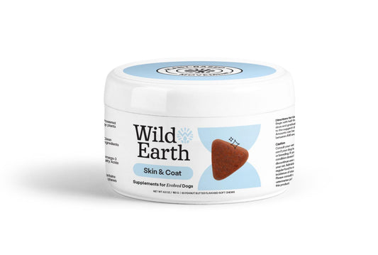 Skin & Coat Dog Supplements by Wild Earth - The Hammer Sports