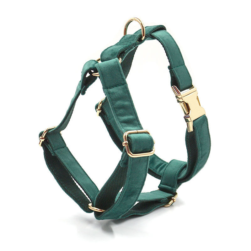 Green Velvet Dog Collar Dog Leash Pet Collar