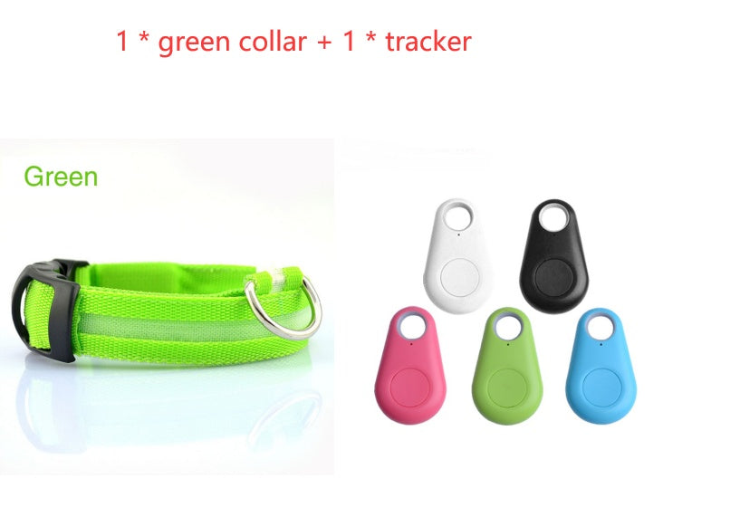 Safety Dog LED Collar