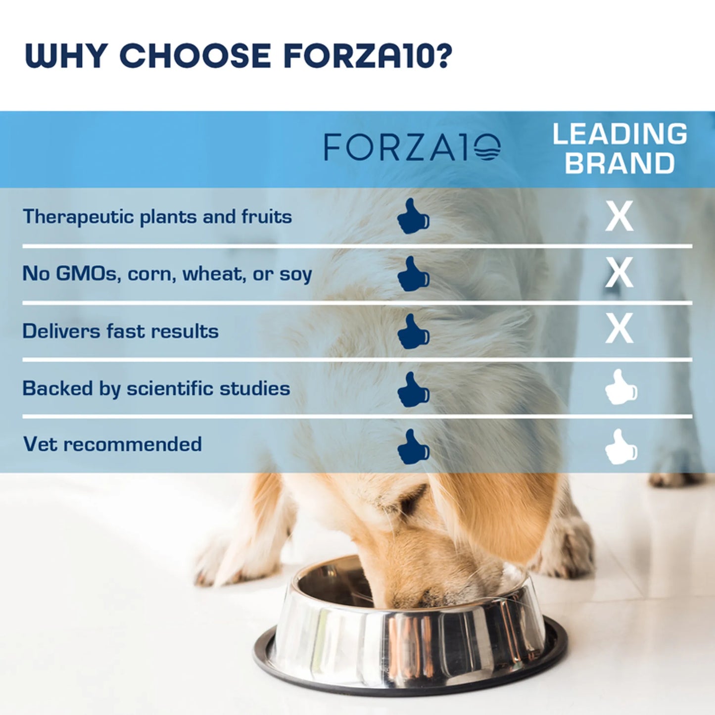 Forza10 Legend Digestion Icelandic Chicken & Lamb Recipe Grain-Free Canned Dog Food