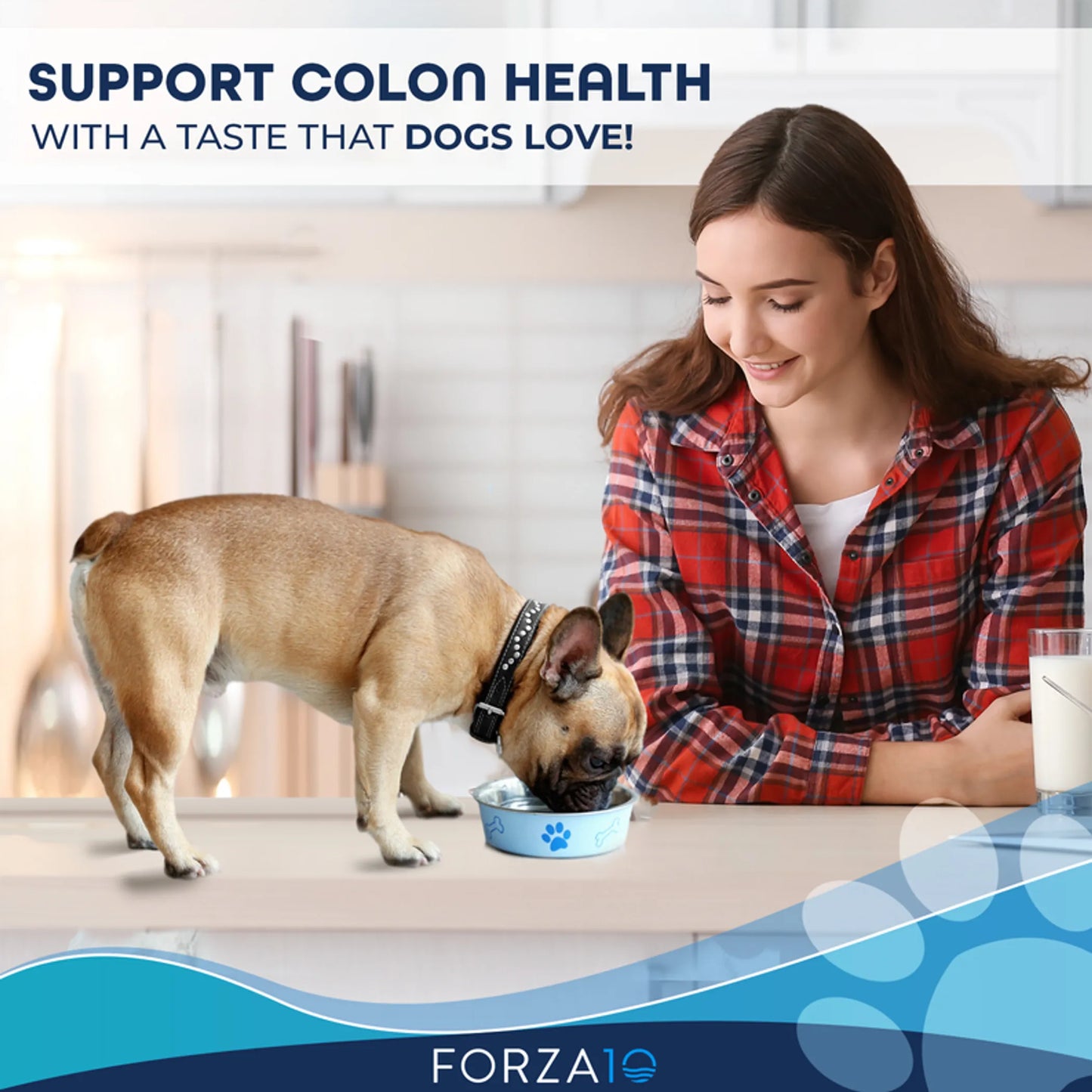 Forza10 Active Colon Support Diet Phase 1 Dry Dog Food