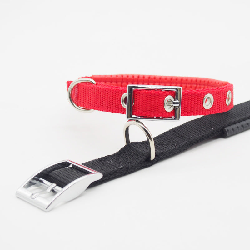 Medium and large dog collars