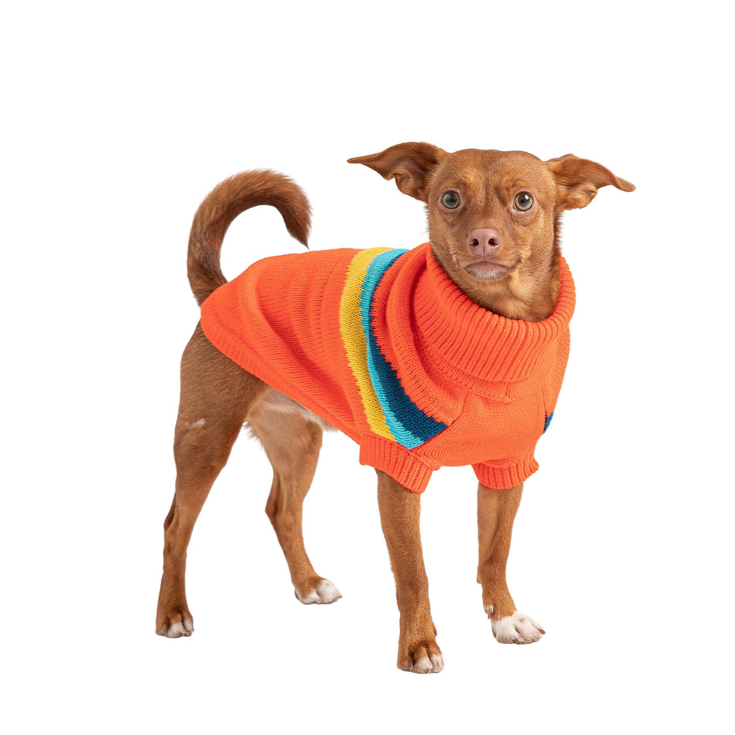 Alpine Sweater - Orange by GF Pet