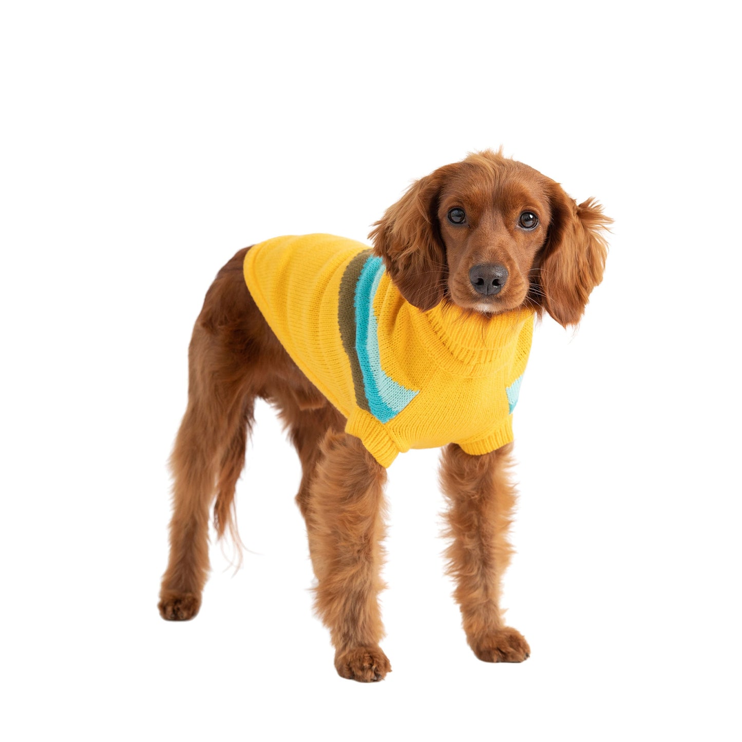 Alpine Sweater - Yellow by GF Pet