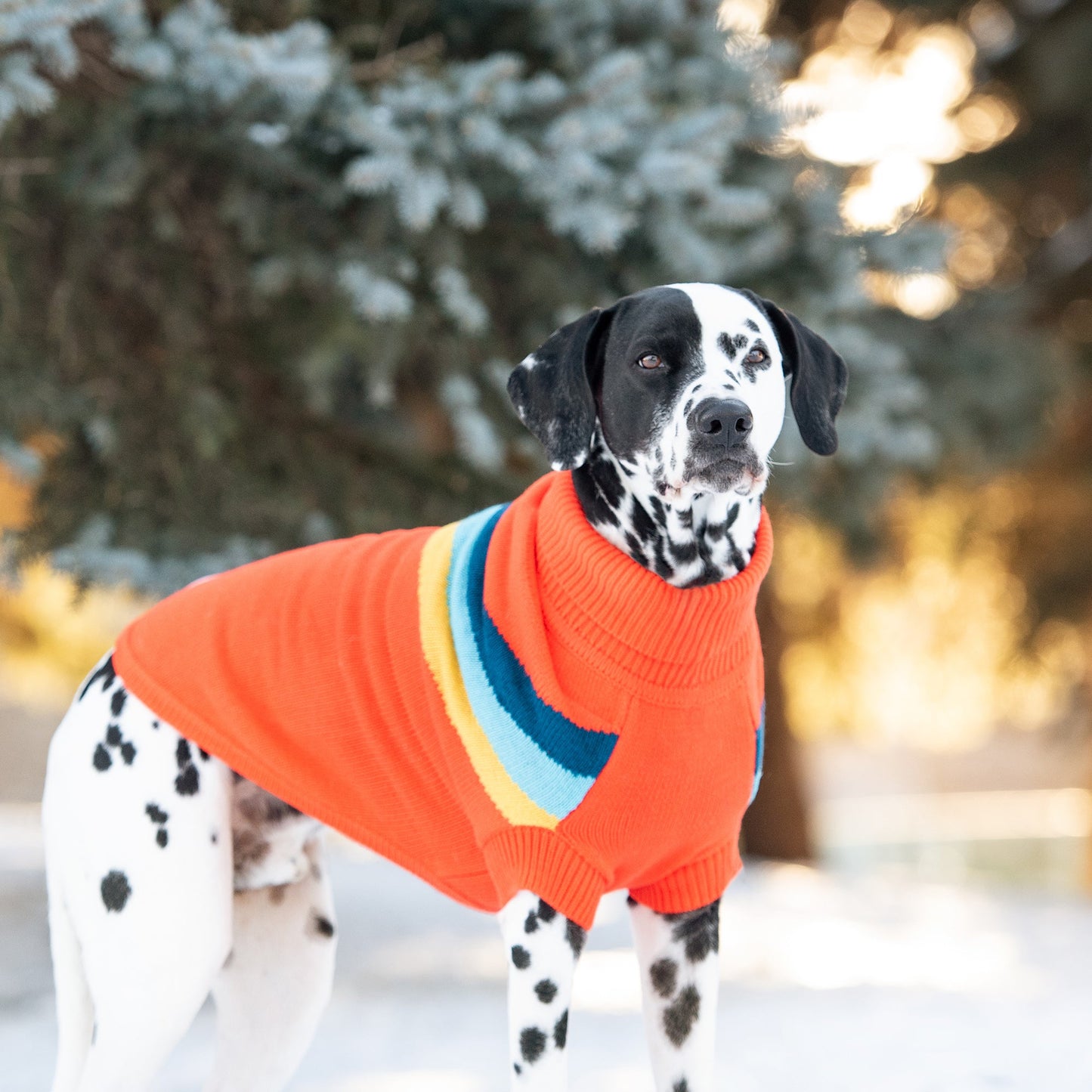Alpine Sweater - Orange by GF Pet