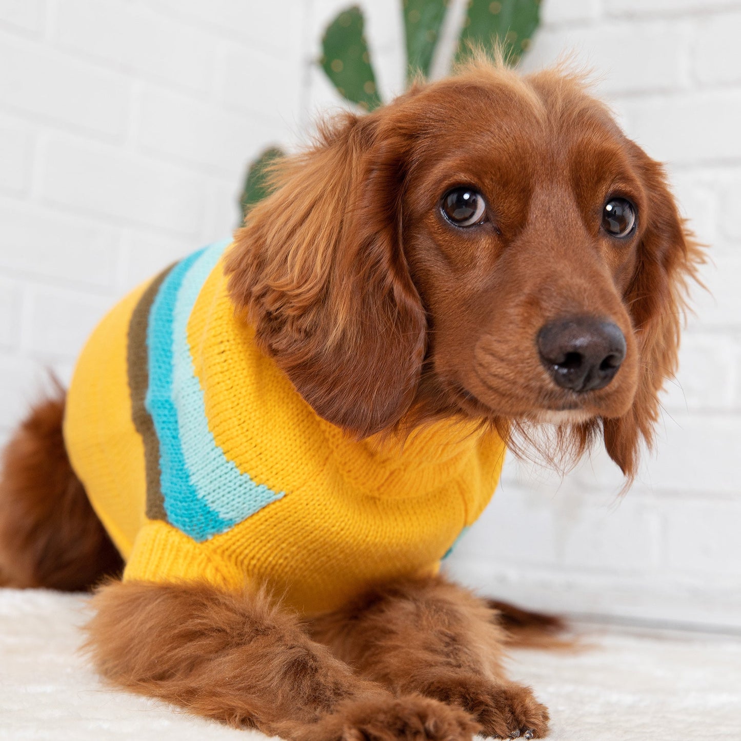 Alpine Sweater - Yellow by GF Pet